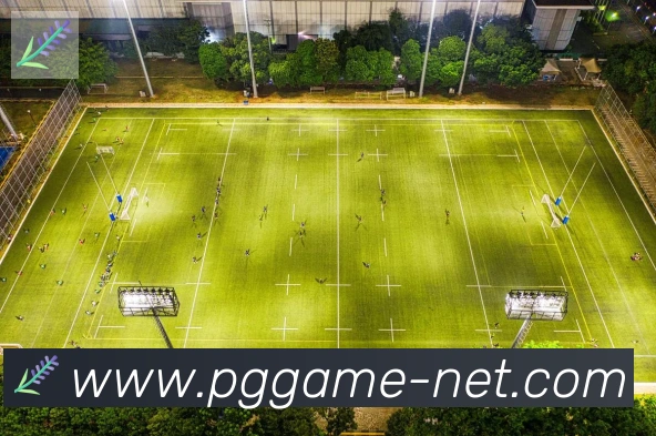 pg电子游戏荣誉