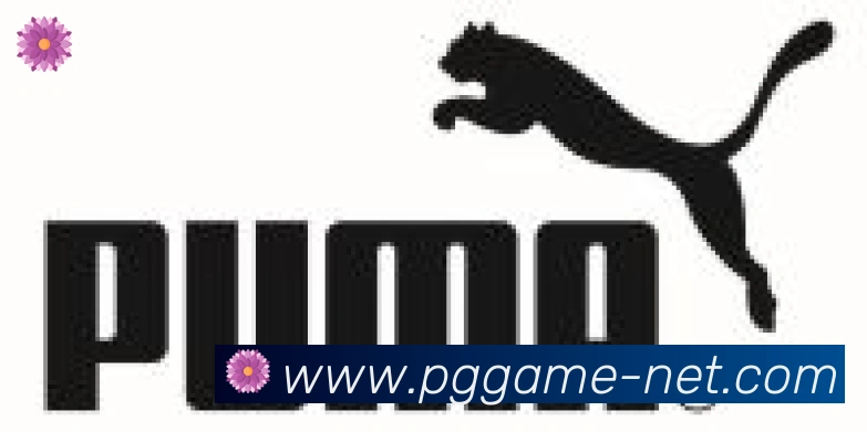 pg电子游戏合作伙伴